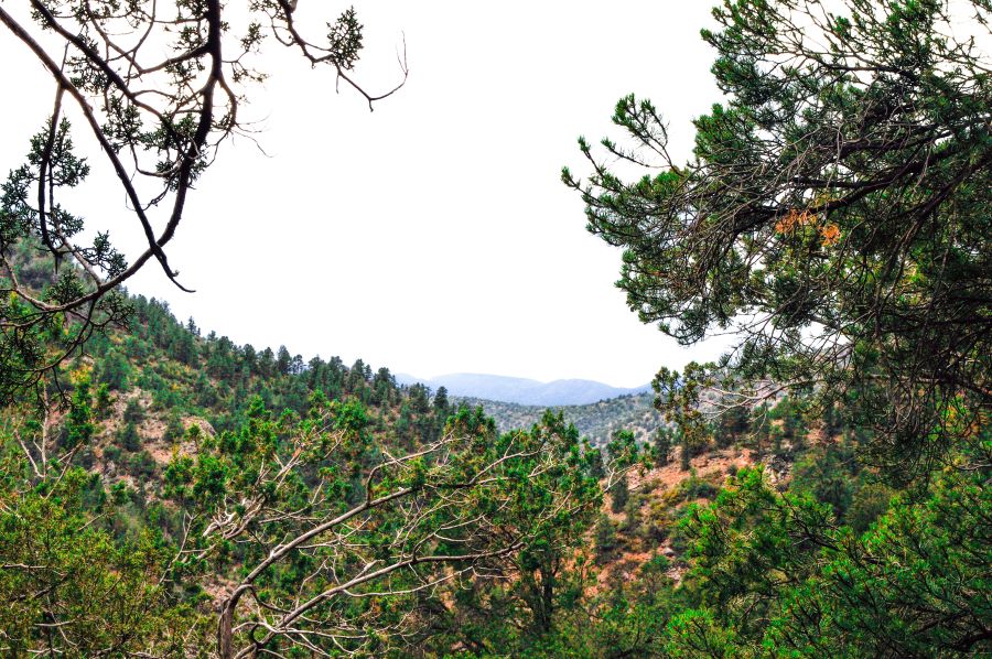 A wide, landscape view of Payson, Arizona with hills covered in trees.