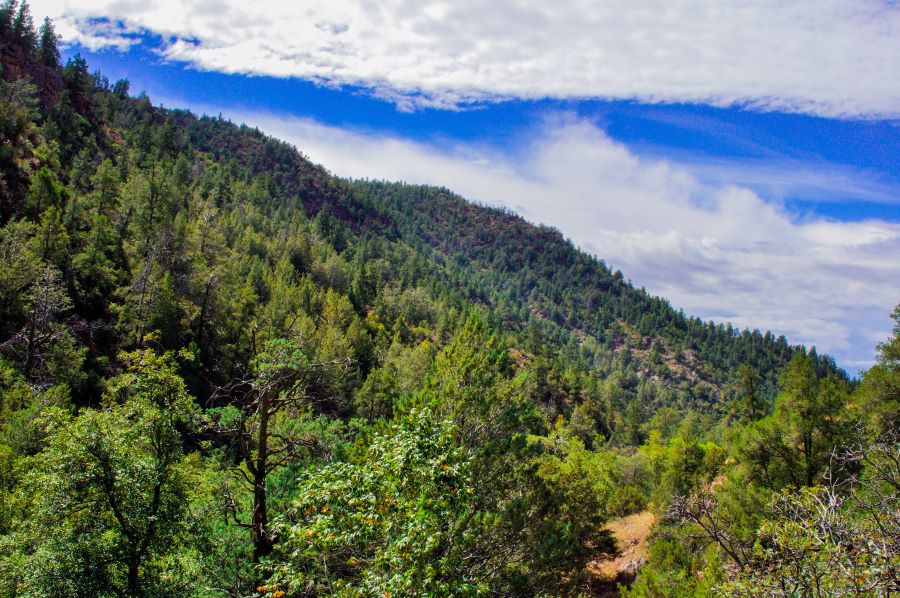 A wide, landscape view of Payson, Arizona with hills covered in trees