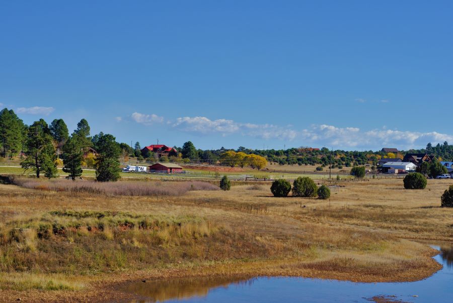 A landscape featuring dry grass, tall trees, and a few farm buildings.
