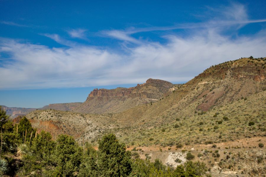 Wide landscape photo of the Arizonan desert.